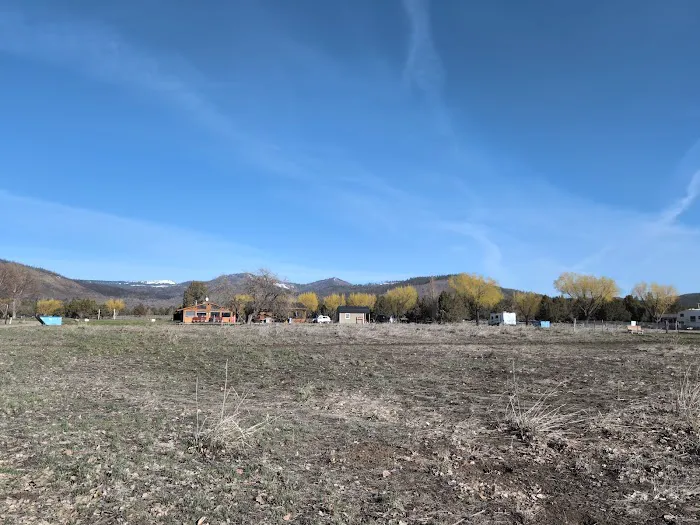 Junipers Reservoir RV Resort Picture 5