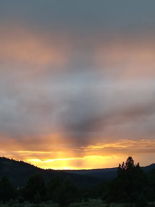 Junipers Reservoir RV Resort Picture 4
