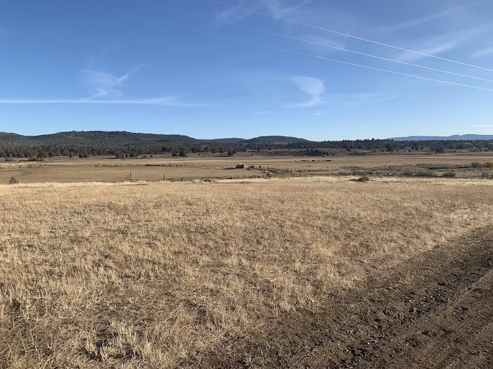 Junipers Reservoir RV Resort Picture 8