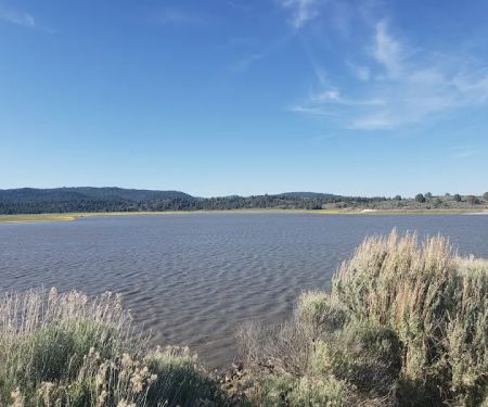 Junipers Reservoir RV Resort