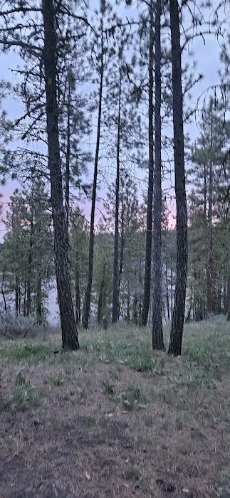 Dog Lake Campground Picture 4