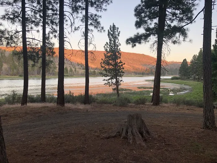 Dog Lake Campground Picture 2