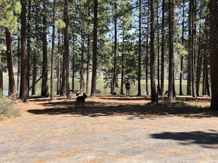 Dog Lake Campground Picture 3