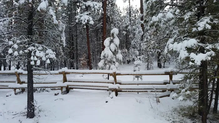 Buck Spring Campground Picture 3