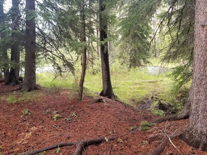 Copper Creek Campground Picture 10