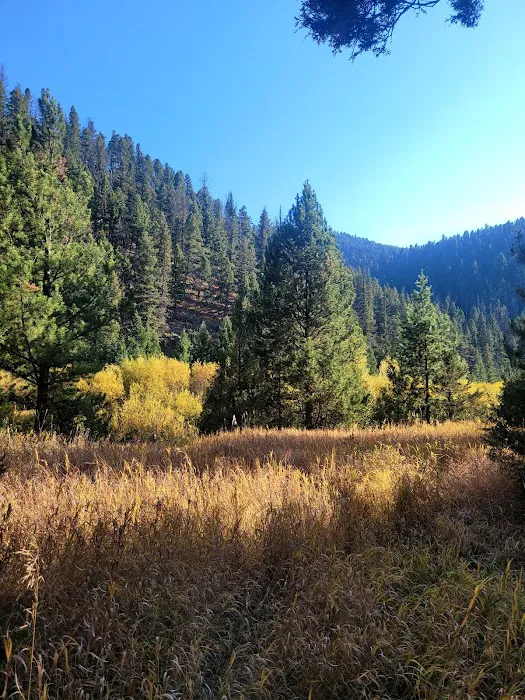 Aspen Grove Campground Picture 5