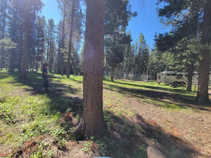Benchmark Campground Picture 3