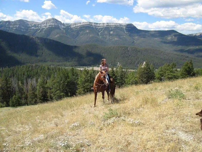 Benchmark Campground Picture 9