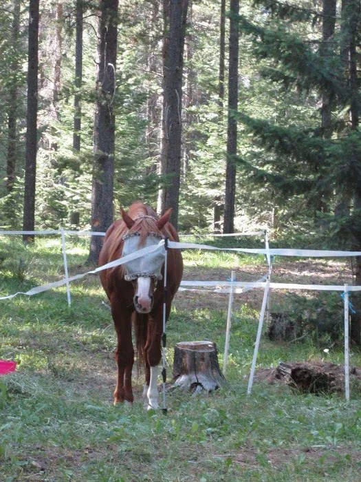 Benchmark Campground Picture 10