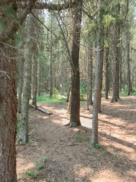 Wood Lake Campground Picture 3