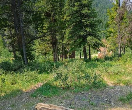 Wood Lake Campground