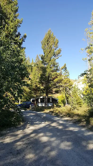 Wood Lake Campground Picture 9