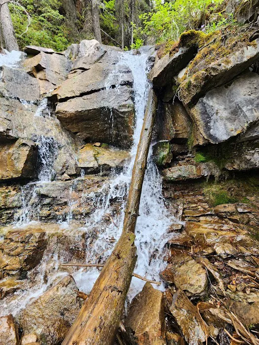 Double Falls Campground Picture 2