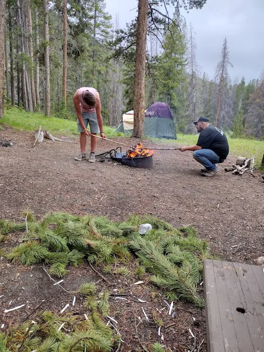 Little Joe Campground and Picnic Area Picture 8