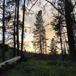 Little Joe Campground and Picnic Area