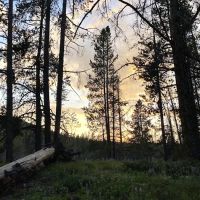 Little Joe Campground and Picnic Area ico