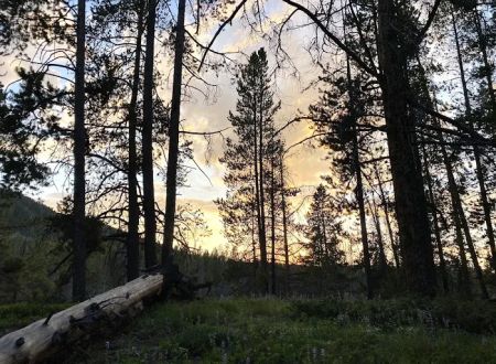 Little Joe Campground and Picnic Area