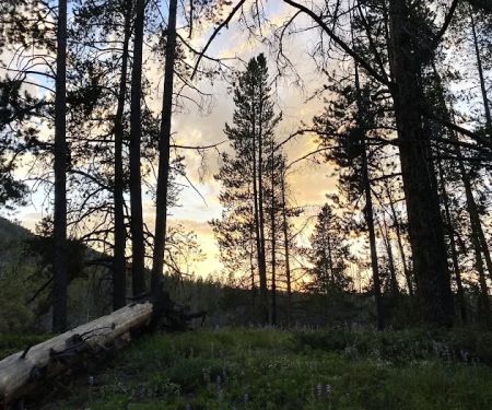 Little Joe Campground and Picnic Area
