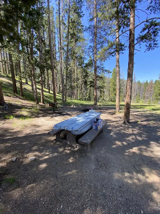 Little Joe Campground and Picnic Area Picture 2