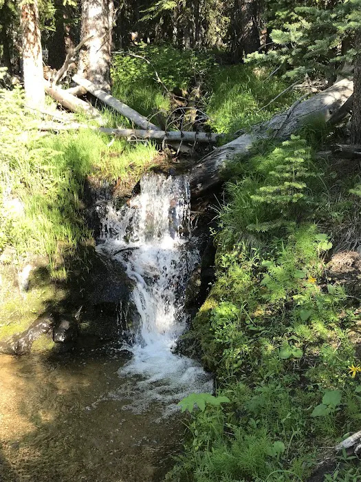 Price Creek Campground Picture 5