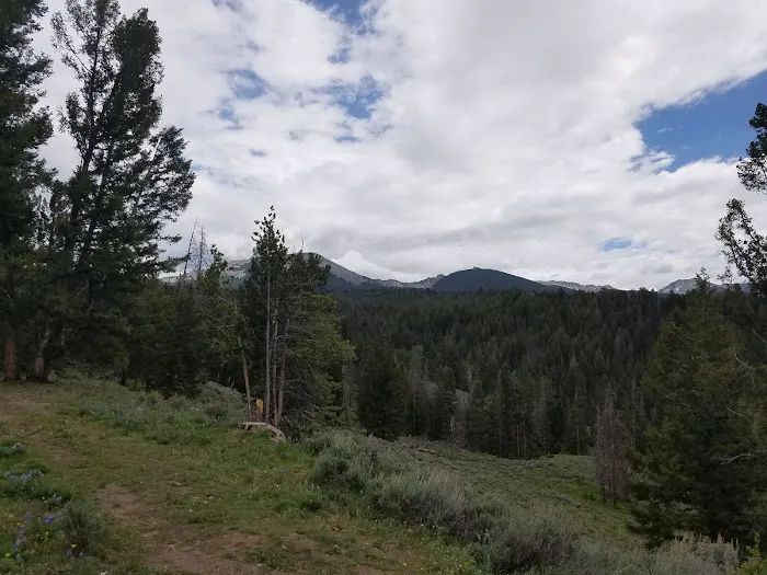 Grasshopper Campground and Picnic Area Picture 2