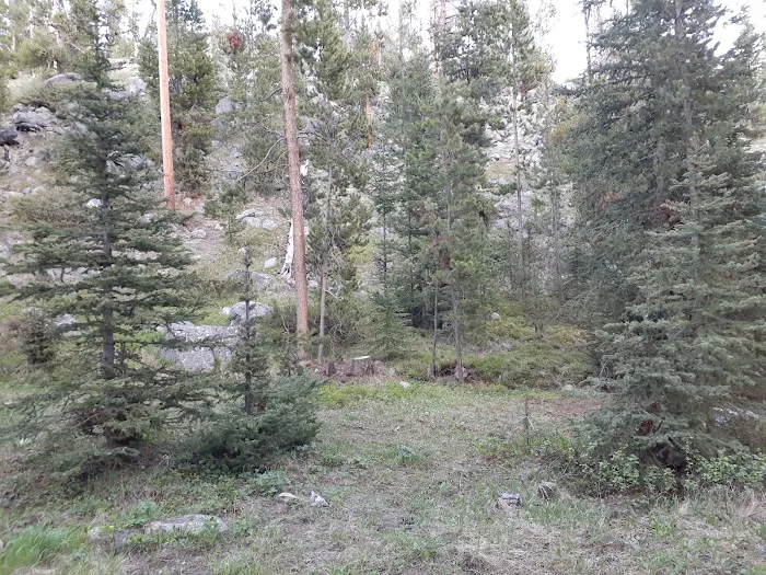 Grasshopper Campground and Picnic Area Picture 3