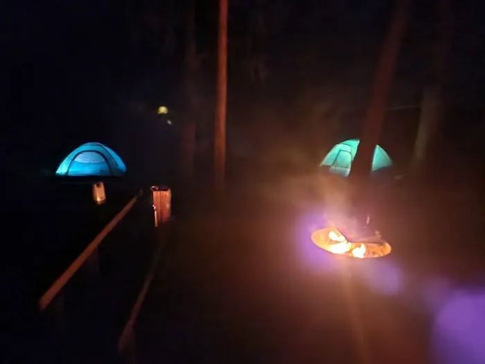 Grasshopper Campground and Picnic Area Picture 8