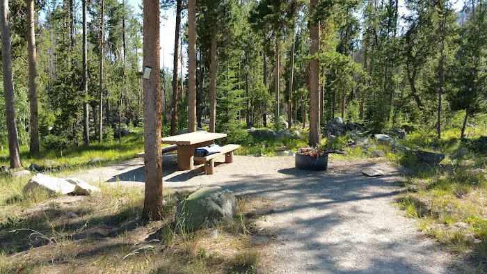 Grasshopper Campground and Picnic Area Picture 5