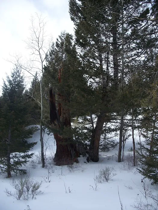 BIRCH CREEK CABIN (recgovnpsdata) Picture 1