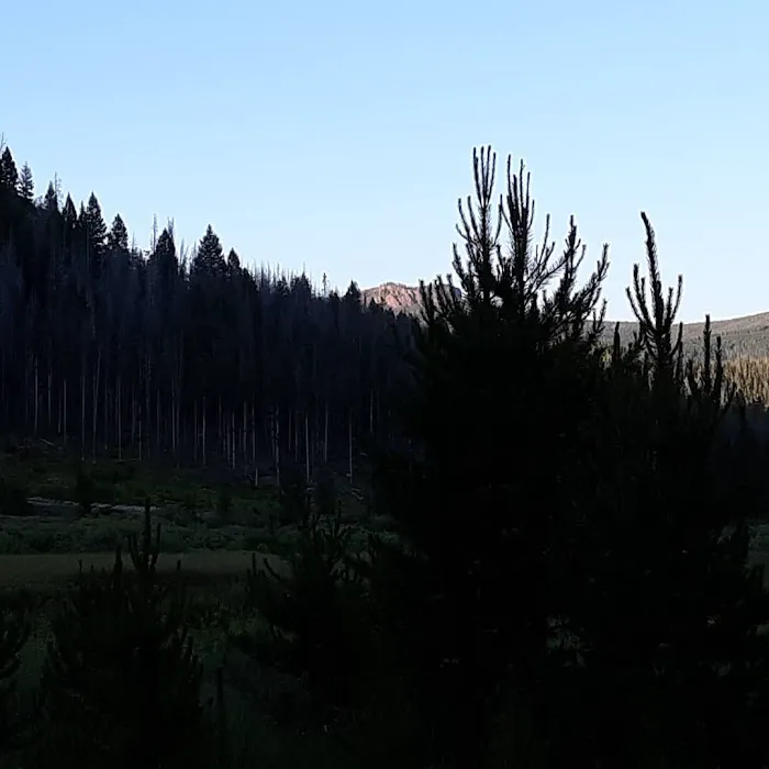 Lowland Campground Picture 3