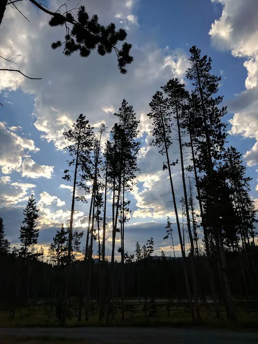 Lowland Campground Picture 2