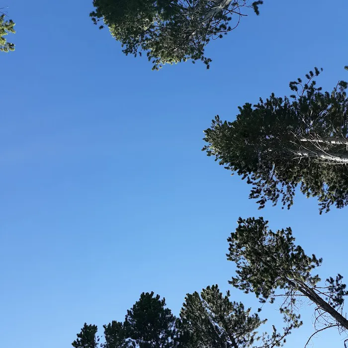 Lowland Campground Picture 5