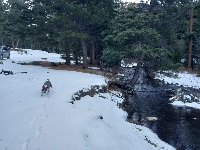 Pigeon Creek Campground Picture 2
