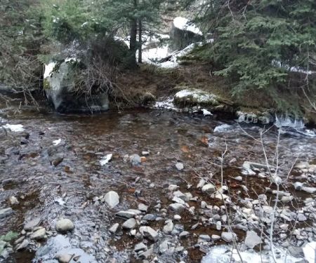 Pigeon Creek Campground
