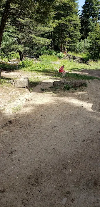 Pigeon Creek Campground Picture 5