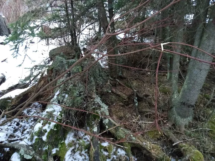 Pigeon Creek Campground Picture 3