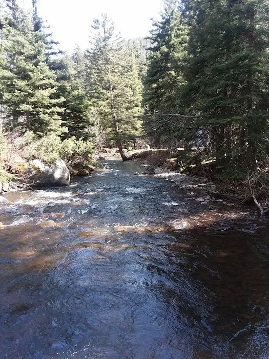 Pigeon Creek Campground Picture 8