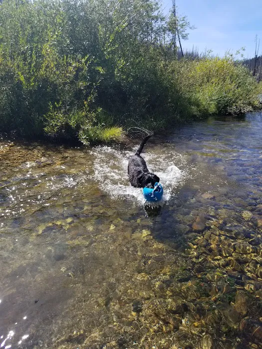 Horse Creek Hot Springs Campground Picture 5
