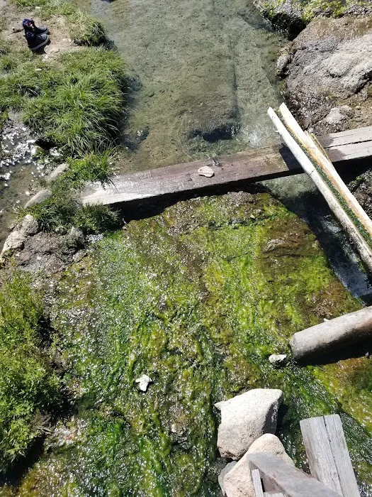 Horse Creek Hot Springs Campground Picture 9