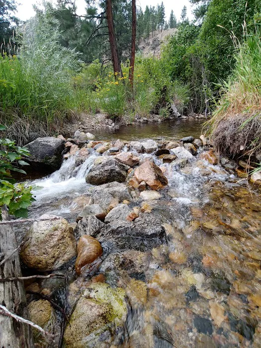 Spring Creek Campground Picture 6