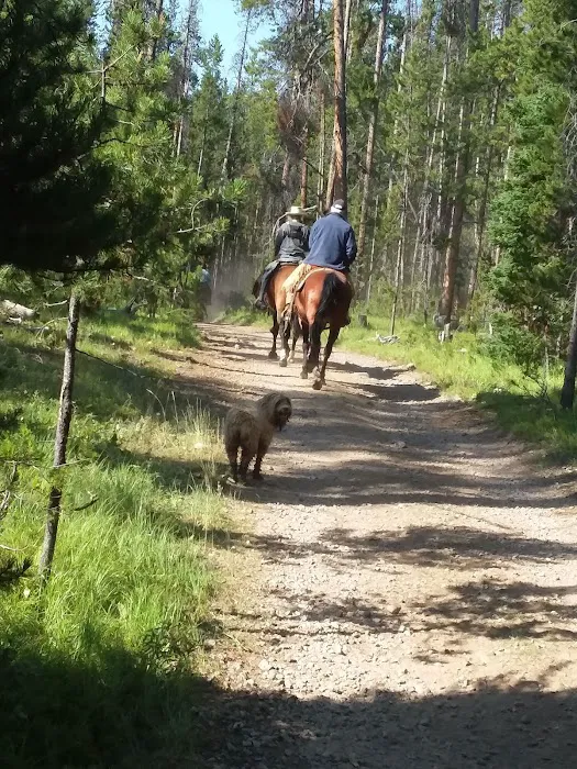 Miner Lake Campground Picture 3