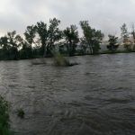 Morgan Bar Recreation Site