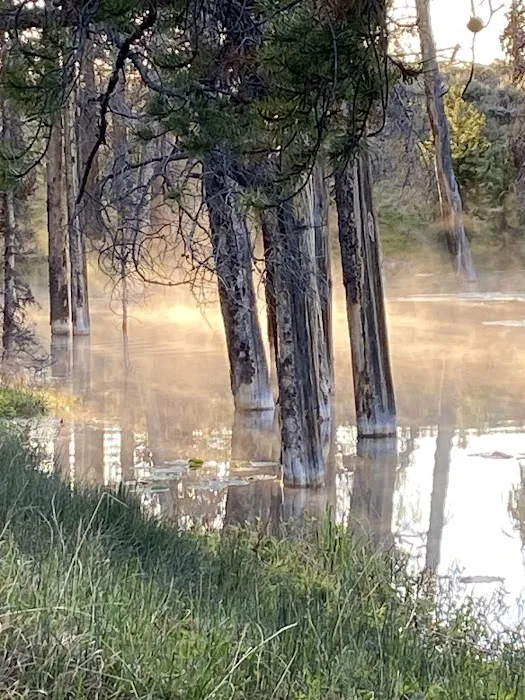 South Van Houten Campground Picture 7
