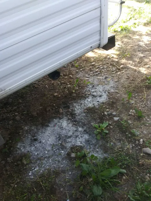 Salmon Meadows Campground Picture 2