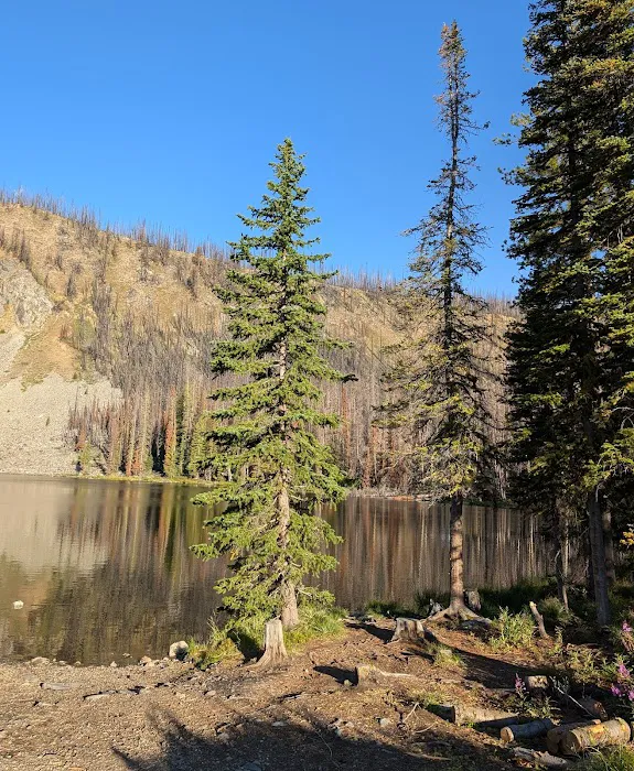 Wallace Lake Campground Picture 7