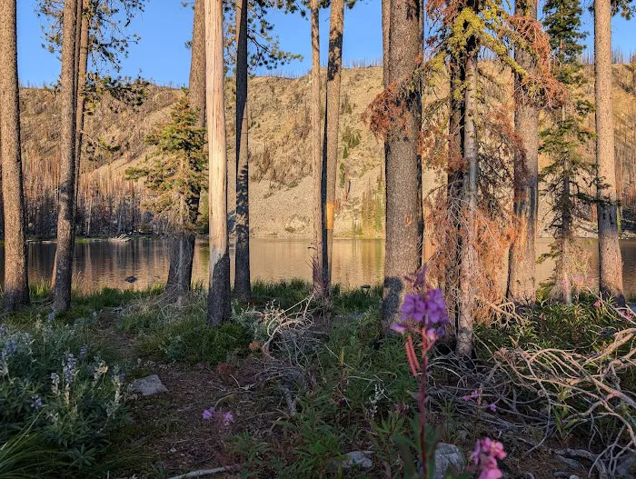 Wallace Lake Campground Picture 6