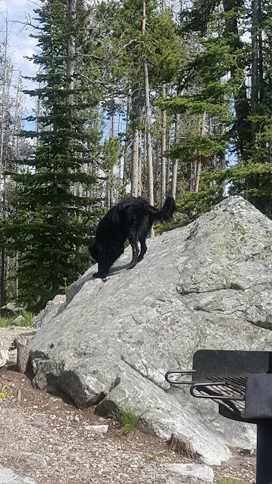 Wallace Lake Campground Picture 9