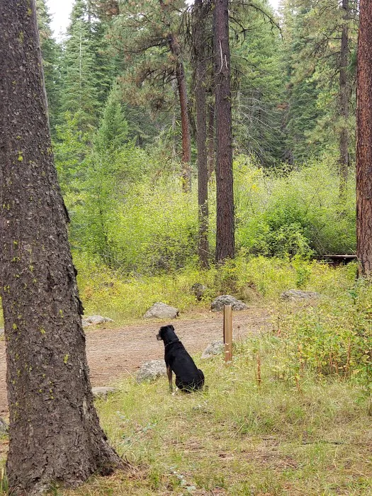 Cabin Creek Campground Picture 4