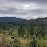 Cabin Creek Campground ico
