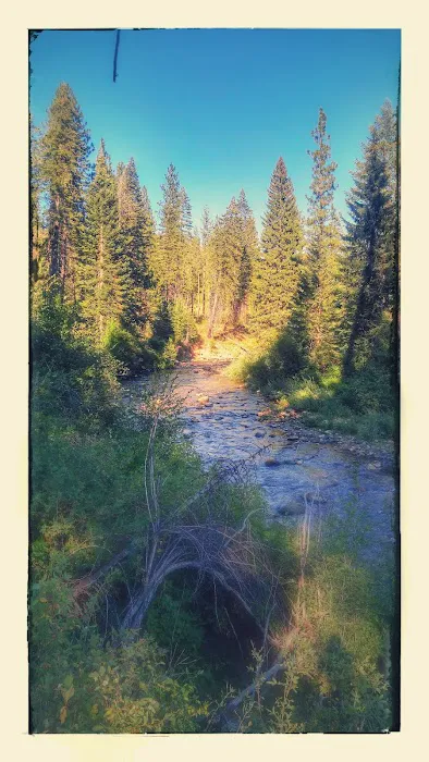 Cabin Creek Campground Picture 5